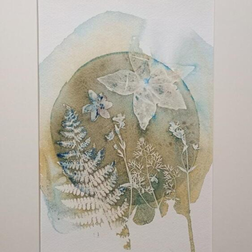 Alba